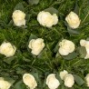 Coroana funerara cu baza din trandafiri albi