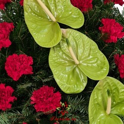 Coroana funerara Garoafe si Anthurium