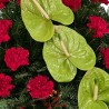 Coroana funerara Garoafe si Anthurium