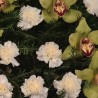 Coroana funerara Garoafe albe si Orhidee