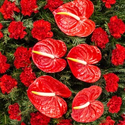 Coroana funerara garoafe rosii si anthurium rosu