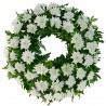 Aranjament Funerar rotund Crizantema alba