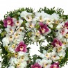 Aranjament funerar inima cu orhidee