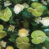 Aranjament Funerar din Anthurium si Trandafiri albi