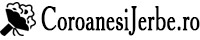 Coroanesijerbe.ro